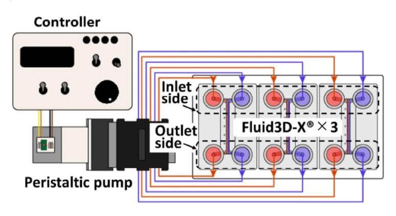 Fluid3D®-X 細胞培養晶片連接圖示